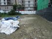 成功八近自強南美建地 成功八近自強南美建地