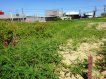 倉庫、耕作、教學用地 倉庫、耕作、教學用地