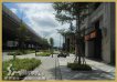 近新泰路中平路商圈 近新泰路中平路商圈