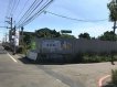 豐田國民小學旁/大坪數農地 豐田國民小學旁/大坪數農地