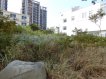 臨生醫園區面寬漂亮土地 臨生醫園區面寬漂亮土地