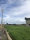 新庄子農地 新庄子農地